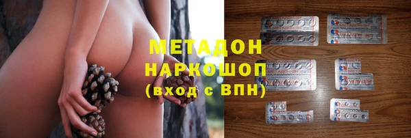 прущие грибы Лихославль
