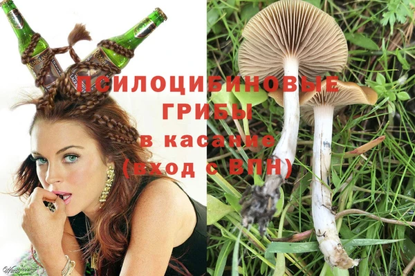 каннабис Лабытнанги
