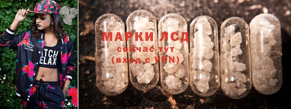 прущие грибы Лихославль