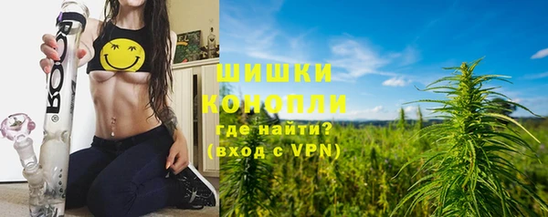 прущие грибы Лихославль
