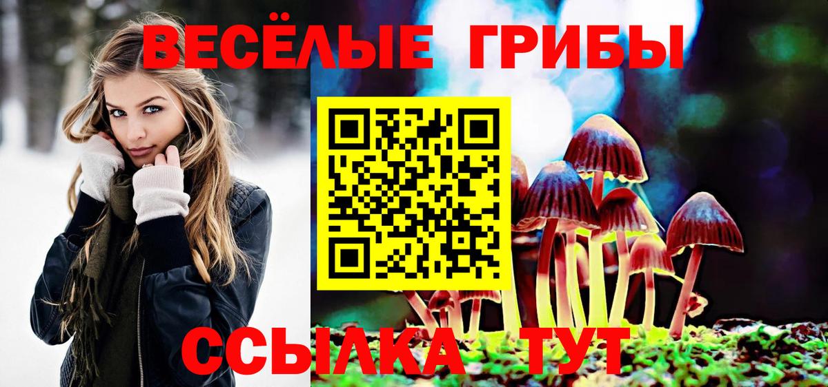 Псилоцибиновые грибы GOLDEN TEACHER  Псилоцибиновые грибы Psilocybe  Вход с VPN  Усинск 