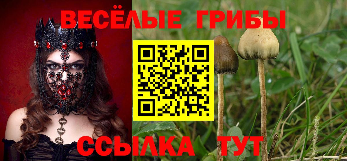 Псилоцибиновые грибы ЛСД Усинск